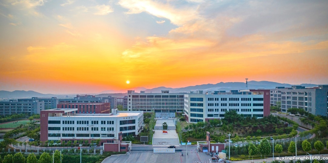 新利体育客户端官网2024招生宣传片